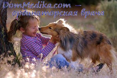 ребенок и собака
