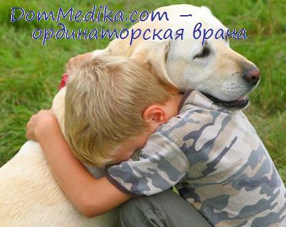 ребенок и собака